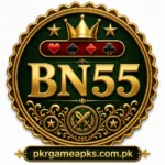 BN55