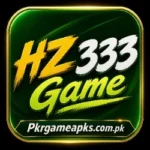 hz333 game