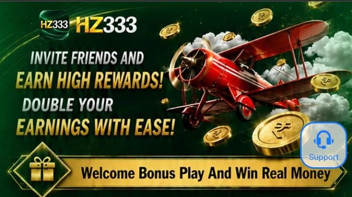 hz333 game
