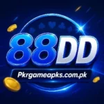 88 dd game